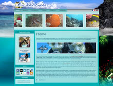 Certified By PADI