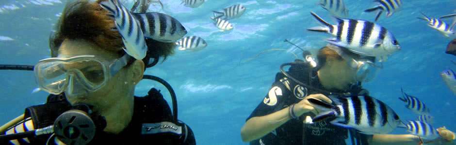 Padi Certified Diving Centre in Mauritius