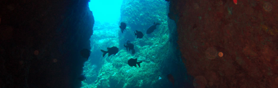 Padi Dive Centre in Mauritius