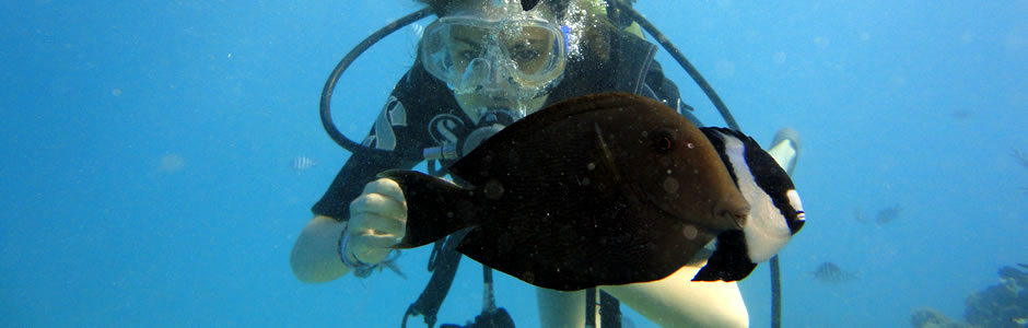 Professional Scuba Diving in Mauritius